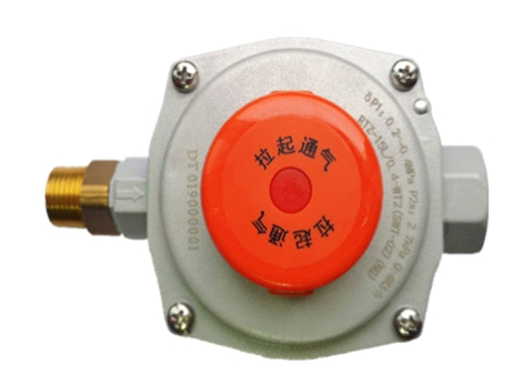 中壓表前調壓器RTZ-15/0.2LY